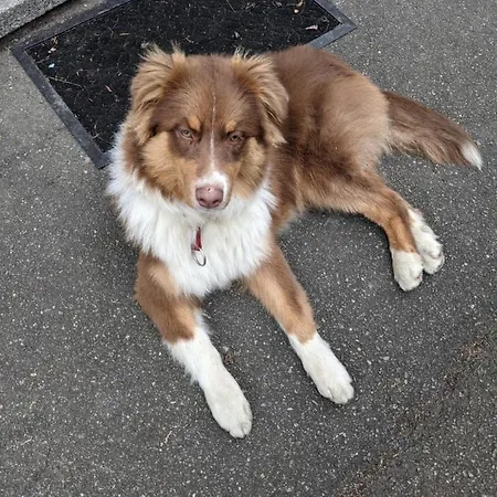 Centre Le 4 Apartman *